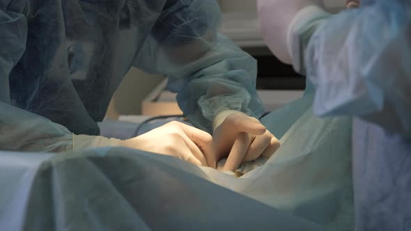 Closeup of Veterinarian Working in Surgery Room