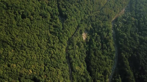 Aerial Top View of Caucasian Mountain Forest, Texture of Forest View From Above.