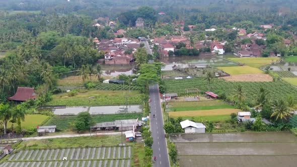 Rice fields with temple in background at Mungkid village, Central Java in Indonesia. Aerial forward