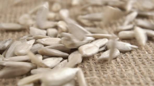 Detailed peeled raw sunflower seeds fall onto a textured burlap mat