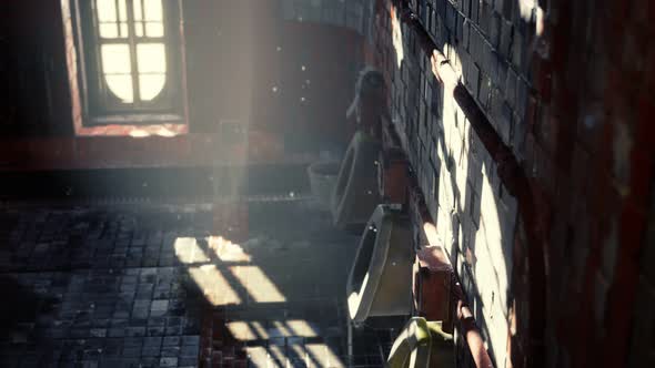 Abantoned Old Public Toilet with Bright Lights alt