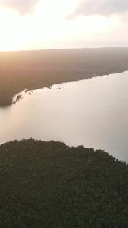 Tanzania  Coast of Zanzibar Island Covered with Thickets Slow Motion