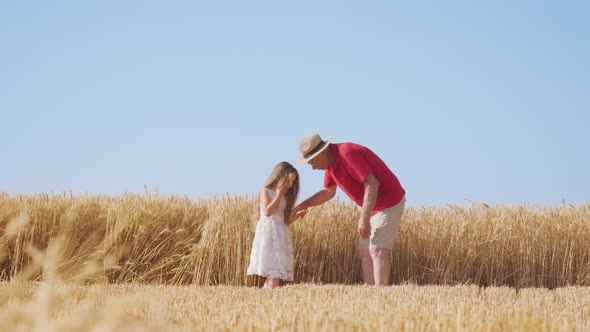 Grandpa Helps Blonde Granddaughter to Collect Wheat Grains