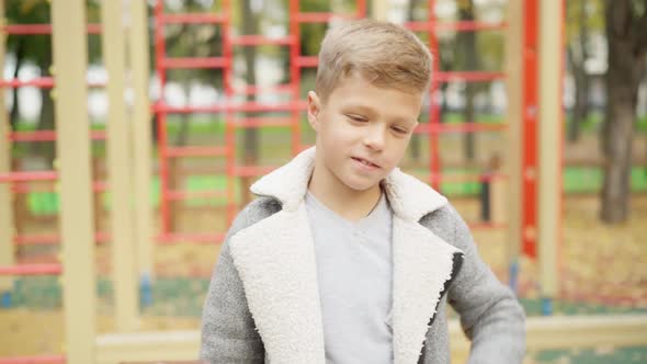 Portrait of Cute Caucasian Boy with Brown Eyes Posing in Autumn Park Outdoors