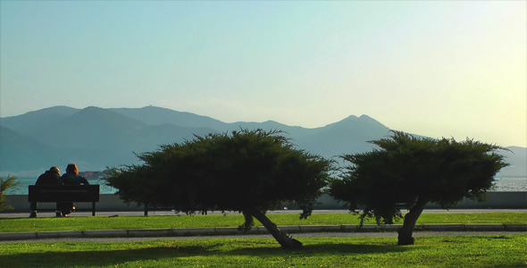 Clouple and the Trees alt