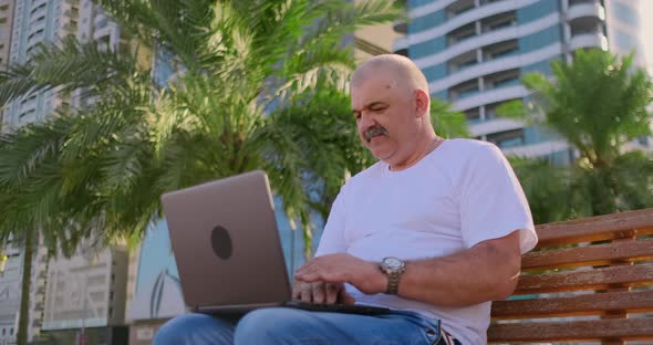 Senior Man Sitting in Park with Palm Trees with Laptop in Summer Checks Bank Account