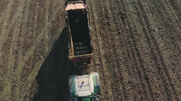 Tractor with a Manure Spreader in the Autumn Field Fertilizes the Soil To Increase Future Yields