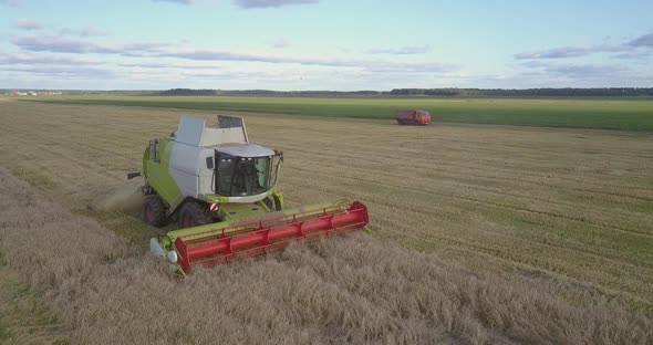 Upper View Combine Operates at Wheat Gathering in Field