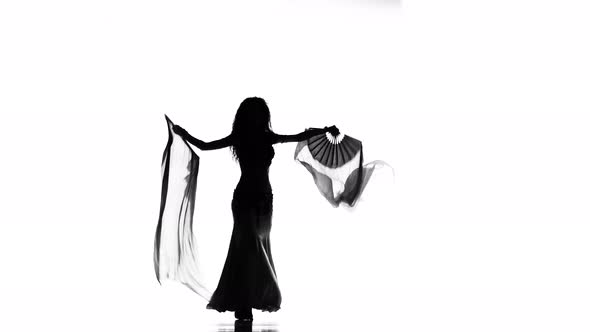 Exotic Belly Dancer Woman Starts Dance with Fans on White, Silhouette