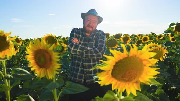 Senior Handsome Farmer with Arms Crossed Has a Hat on His Head and is in the Sunflower Field