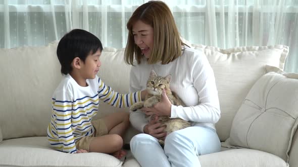 Asian Mother And Her Son Playing With British Cat In Living Room