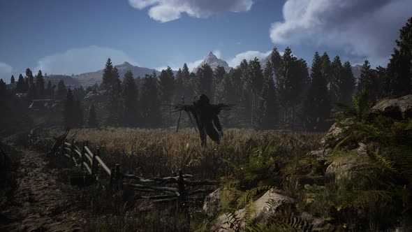 Scarecrow on the Old Village Field