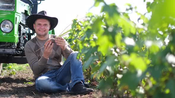 A Young Farmer Inspects a Carrot Harvest