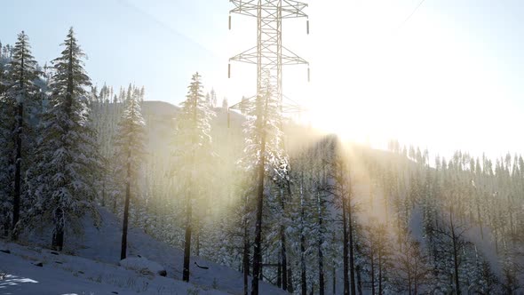 Electric Line at Sunrise alt