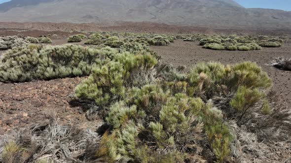 El Tiede Volcano Rocky Landscape National Park