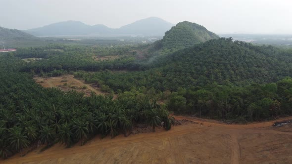 Fly over deforest land clear land of palm oil plantation