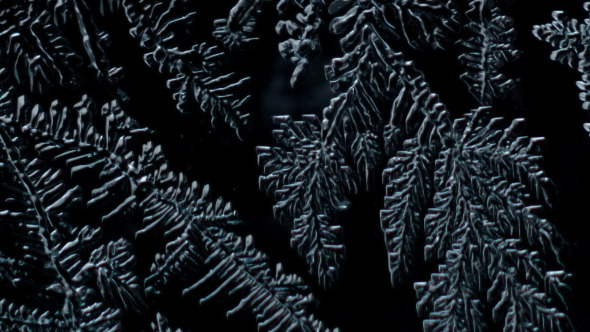Frosty Pattern on Glass
