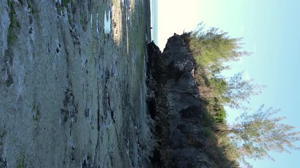 Zanzibar Tanzania  Vertical Video of Low Tide in the Ocean Near the Coast Slow Motion