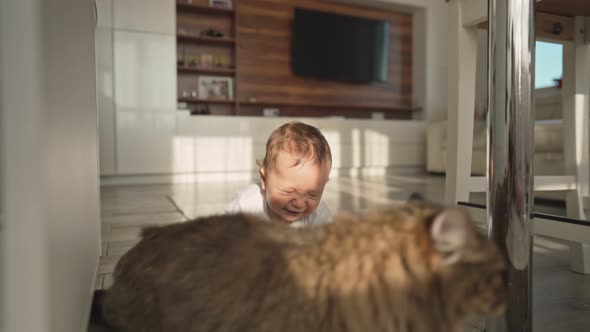 Baby Playing with Cat