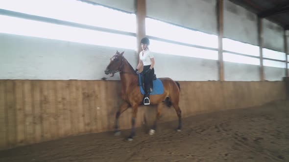 Woman Rider Trains Riding a Horse in a Covered Hangar Female Rides a Horse Beautiful Light