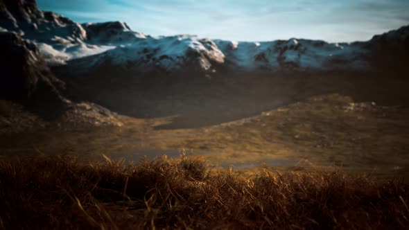 Dry Grass and Snow Covered Mountains in Alaska