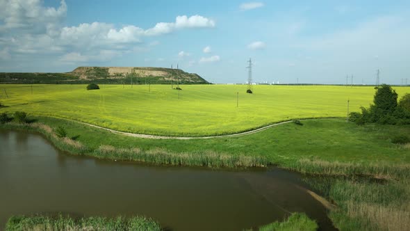 Blooming rapeseed field. On the edge of the field there is a pond. A mothballed city dump is visible