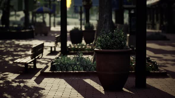 Empty Park After Park is Closed Due to Coronavirus Covid19 Pandemic Outbreak alt