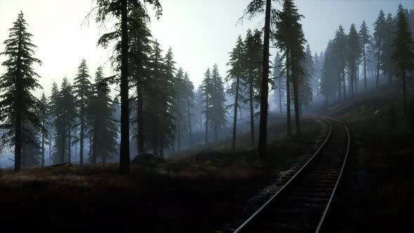 National Forest Recreation Area and the Fog with Railway