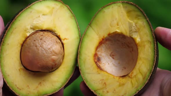 Male hands holding ripe avocado on green background.