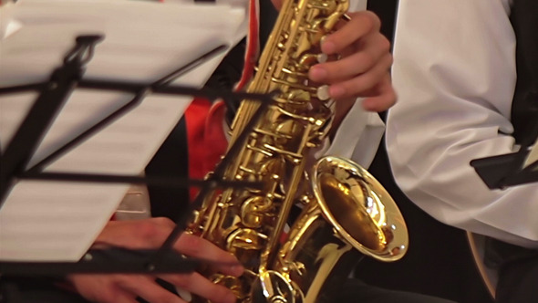 Musician Paying The Saxophone 2 alt