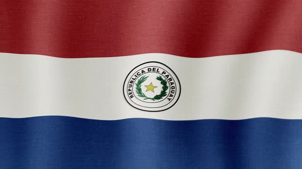 The National Flag of Paraguay