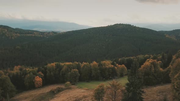 Mountains Autumn Forest From Above