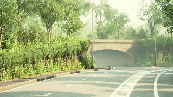 View of Empty Road with Lamp Post and Sunlight