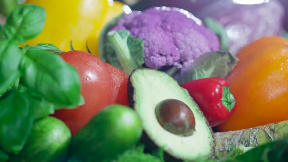 Composition of Fresh Healthy Organic Vegetables in the Center of Colored Broccoli and Avocado.