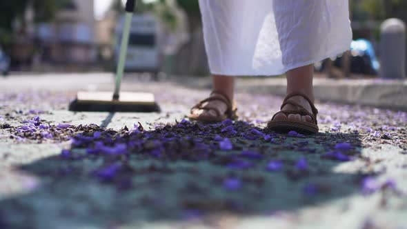 Closeup Broom Sweeping Purple Petals in Sunlight Outdoors