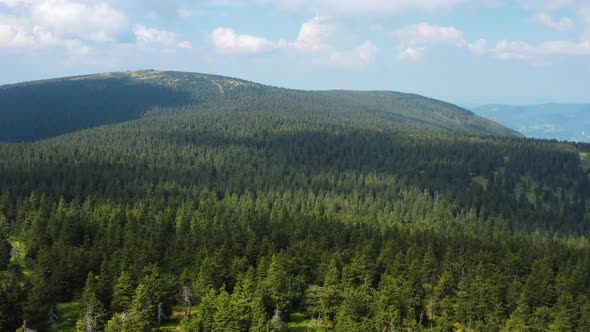 Beautiful aerial view of the forest. Mountains of the Czech Republic. Hrubý Jeseník. Czech landscape