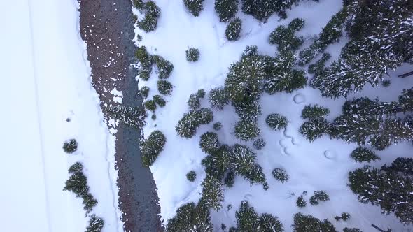 Aerial drone view of river trees and a forest in the snow covered mountains