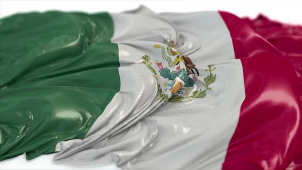 Mexico Flag On A White Floor  alt