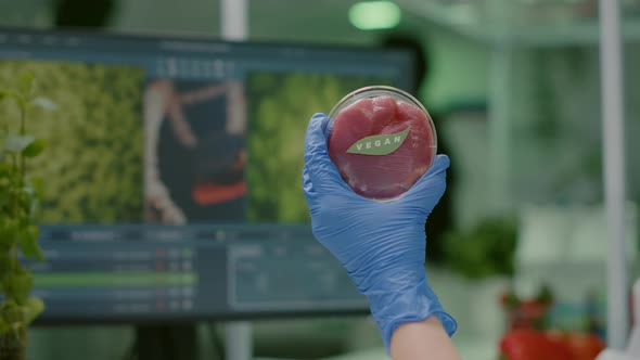 Closeup of Chemist Holding in Hands Vegan Beef Meat Sample