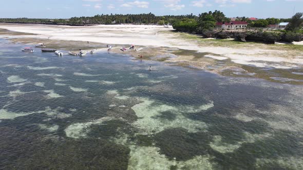 Zanzibar Tanzania  Low Tide in the Ocean Near the Shore