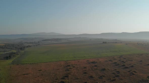 Top View of Agricultural Fields on a Sunny Day