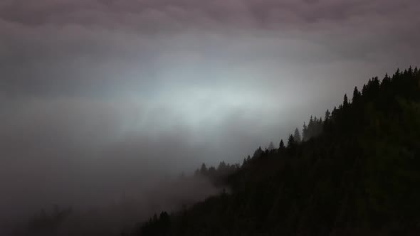 Amazing Cloud Wave Over Forest