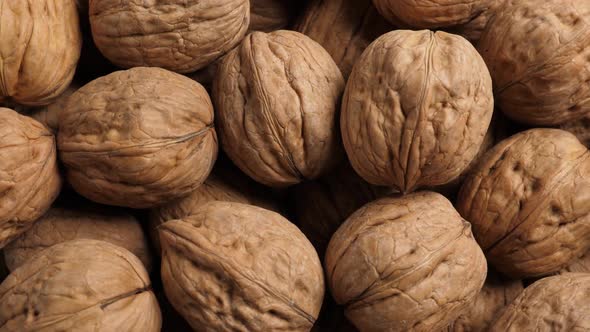 Whole Walnut Closeup