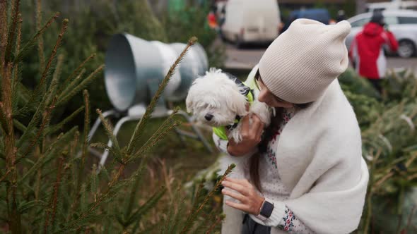 Woman with a White Dog in Her Arms Near a Green Christmas Trees