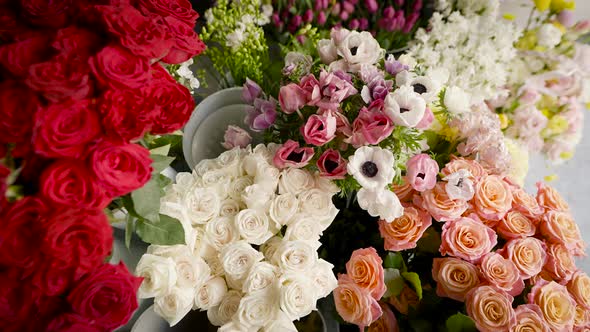 Wholesale Warehouse of Flowers