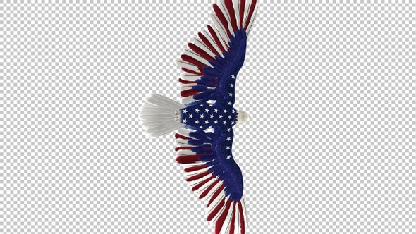 American Eagle - USA Flag - Flying Transition - VII