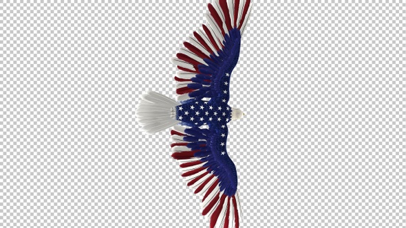 American Eagle - USA Flag - Flying Transition - VII alt
