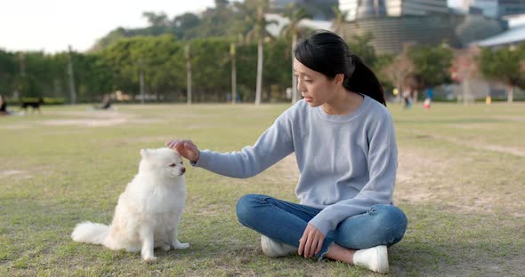 Woman playing with her Pomeranian dog at outdoor park