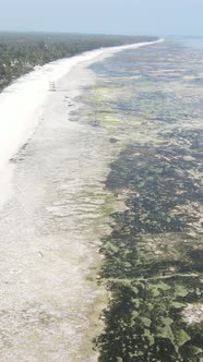 Vertical Video of Low Tide in the Ocean Near the Coast of Zanzibar Tanzania