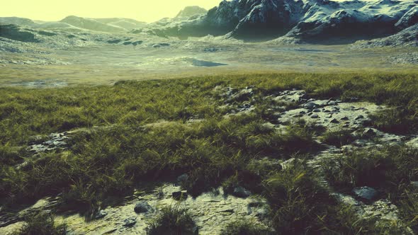 Dry Grass Fields and Mountains in Nepal